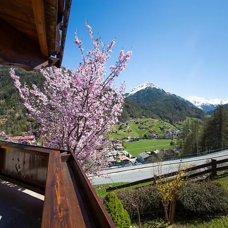 Haus Alpenstern Daire *